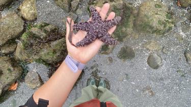 Closeup of a person's arm and hand holding a starfish